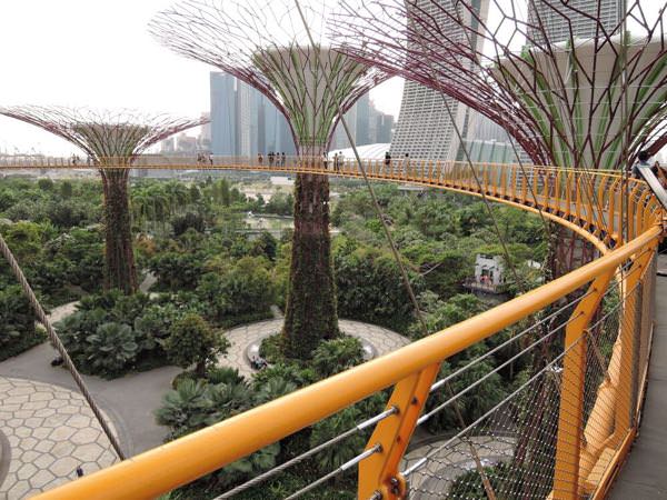 シンガポールの植物園「ガーデンズバイザベイ」